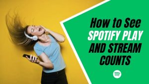 How to see spotify play and stream counts
